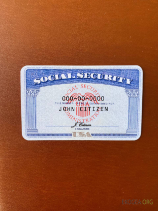 USA SSN photolook fond marron DEVANT